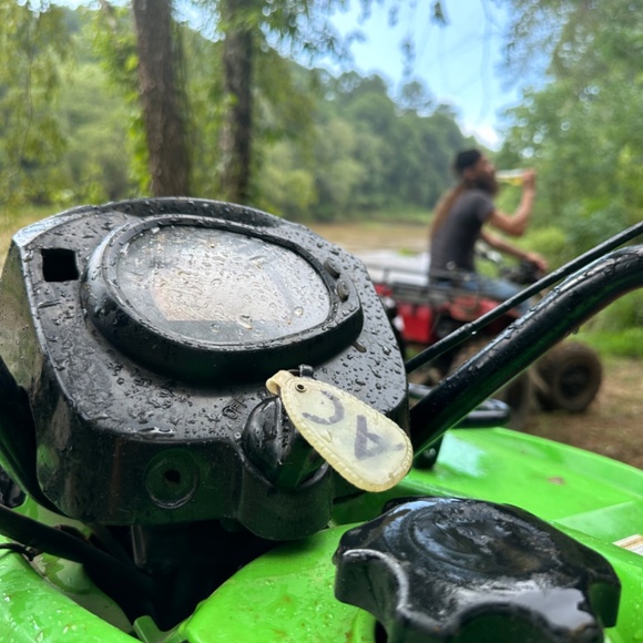 Meet your Posher, Tristan - Picture 3 of 14